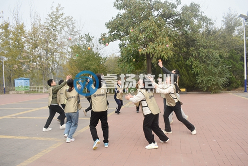 DSC_0817.jpg
